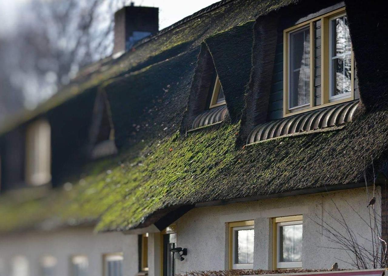 B&B-Hotel De Joremeinshoeve Kaatsheuvel ภายนอก รูปภาพ